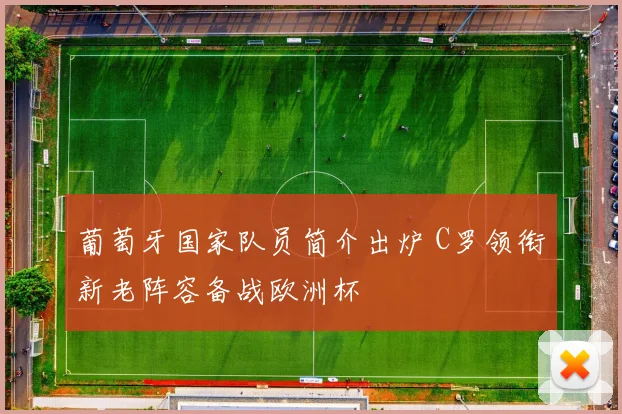 葡萄牙国家队员简介出炉 C罗领衔新老阵容备战欧洲杯