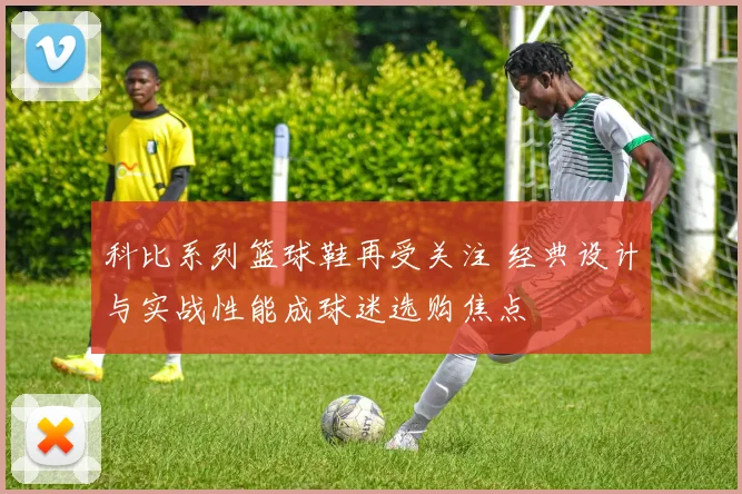 科比系列篮球鞋再受关注 经典设计与实战性能成球迷选购焦点