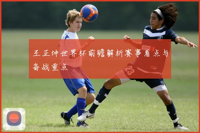 王正坤世界杯前瞻解析赛事看点与备战重点