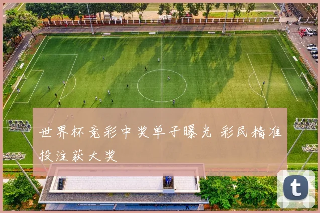 世界杯竞彩中奖单子曝光 彩民精准投注获大奖