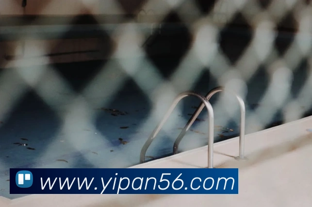 多媒体互动体验