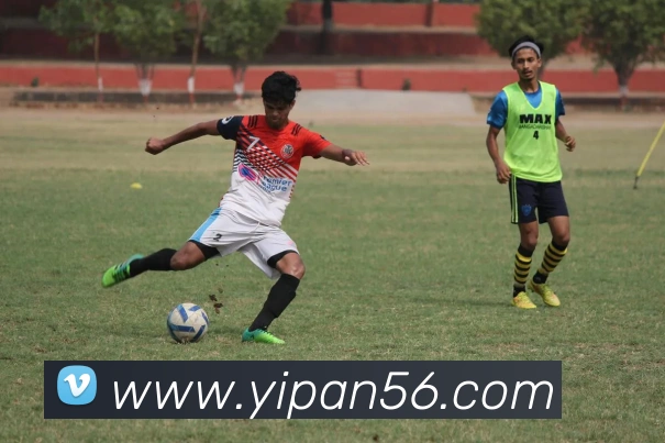 开云手机网页入口APP 高清赛事图